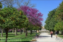 Viennaslide-05451115 Valencia, Turia-Park // Valencia, Turia Gardens