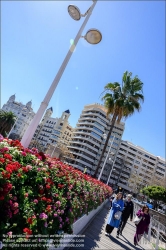 Viennaslide-05451126 Valencia, Turia-Park, Pont de les Flors, Blumenbrücke // Valencia, Turia Gardens, Pont de les Flors, Flower Bridge