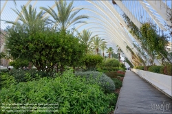 Viennaslide-05451752 Spanien, Valencia, Santiago Calatrava, Ciutat de les Arts i les Ciències, Stadt der Künste und Wisenschaften, L’Umbracle // Spain, Valencia, Santiago Calatrava, City of Arts an Sciences, Ciutat de les Arts i les Ciències, L’Umbracle