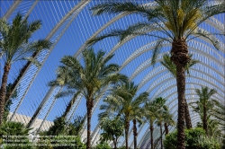 Viennaslide-05451868 Spanien, Valencia, Santiago Calatrava, Ciutat de les Arts i les Ciències, Stadt der Künste und Wissenschaften, L’Umbracle // Spain, Valencia, Santiago Calatrava, City of Arts an Sciences, Ciutat de les Arts i les Ciències, L’Umbracle