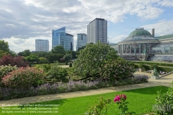 Viennaslide-05810123 Brüssel, Botanischer Garten, Jardin botanique, Kruidtuin - Brussels, Botanic Garden (Bruxelles, Brussel).
In urban planning, Brusselization is the indiscriminate and careless introduction of modern high-rise buildings into gentrified neighbourhoods and has become a byword for haphazard urban development and redevelopment.