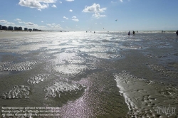 Viennaslide-05848102 Belgien, De Panne, Küste - Belgium, De Panne, Seafront