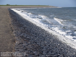 Viennaslide-05900204 Texelist eine Nordseeinsel in der niederländischen Provinz Nordholland sowie der Name der auf ihr liegenden Gemeinde. Die Insel ist die größte und westlichste der Westfriesischen Inseln. Sie ist ein beliebtes Tourismusziel; ihre abwechslungsreiche Landschaft beherbergt eine reichhaltige Tier- und Pflanzenwelt.