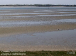 Viennaslide-05900212 Texelist eine Nordseeinsel in der niederländischen Provinz Nordholland sowie der Name der auf ihr liegenden Gemeinde. Die Insel ist die größte und westlichste der Westfriesischen Inseln. Sie ist ein beliebtes Tourismusziel; ihre abwechslungsreiche Landschaft beherbergt eine reichhaltige Tier- und Pflanzenwelt.