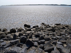 Viennaslide-05900216 Texelist eine Nordseeinsel in der niederländischen Provinz Nordholland sowie der Name der auf ihr liegenden Gemeinde. Die Insel ist die größte und westlichste der Westfriesischen Inseln. Sie ist ein beliebtes Tourismusziel; ihre abwechslungsreiche Landschaft beherbergt eine reichhaltige Tier- und Pflanzenwelt.