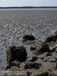 Viennaslide-05900218 Texelist eine Nordseeinsel in der niederländischen Provinz Nordholland sowie der Name der auf ihr liegenden Gemeinde. Die Insel ist die größte und westlichste der Westfriesischen Inseln. Sie ist ein beliebtes Tourismusziel; ihre abwechslungsreiche Landschaft beherbergt eine reichhaltige Tier- und Pflanzenwelt.