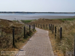 Viennaslide-05900222 Texelist eine Nordseeinsel in der niederländischen Provinz Nordholland sowie der Name der auf ihr liegenden Gemeinde. Die Insel ist die größte und westlichste der Westfriesischen Inseln. Sie ist ein beliebtes Tourismusziel; ihre abwechslungsreiche Landschaft beherbergt eine reichhaltige Tier- und Pflanzenwelt.