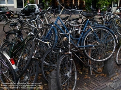 Viennaslide-05910207 Amsterdam, Fahrrad-Chaos