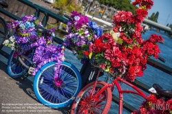 Viennaslide-05910271 Amsterdam, geschmückte Fahrräder - Amsterdam, Decorated Bicycles