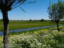 Viennaslide-05918924 Amsterdam, an der Amstel, Wester-Amstel, Middelpolder, Grünes Gebiet Amstelland, ein Joint Venture zwischen den Gemeinden Amsterdam , Amstelveen , Diemen , Ouder-Amstel und der Provinz Noord-Holland , ist die Organisation, die das ländliche Gebiet zwischen Amstelveen und Amsterdam-Rijnkanaal verwaltet . Zu diesen Gebieten gehören neben Naturgebieten auch Erholungsgebiete und Wiesen. - Amsterdam, along the Amstel River, Wester-Amstel, Middelpolder