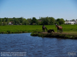 Viennaslide-05918935 Amsterdam, an der Amstel, Wester-Amstel, Middelpolder, Grünes Gebiet Amstelland, ein Joint Venture zwischen den Gemeinden Amsterdam , Amstelveen , Diemen , Ouder-Amstel und der Provinz Noord-Holland , ist die Organisation, die das ländliche Gebiet zwischen Amstelveen und Amsterdam-Rijnkanaal verwaltet . Zu diesen Gebieten gehören neben Naturgebieten auch Erholungsgebiete und Wiesen. - Amsterdam, along the Amstel River, Wester-Amstel, Middelpolder