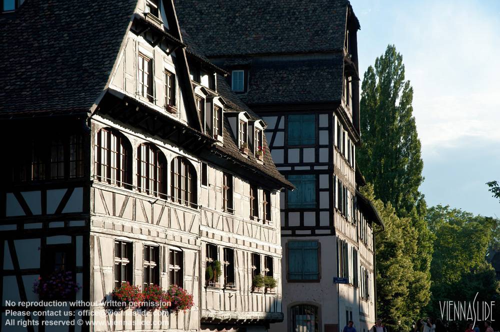 Viennaslide 05241052 jpg