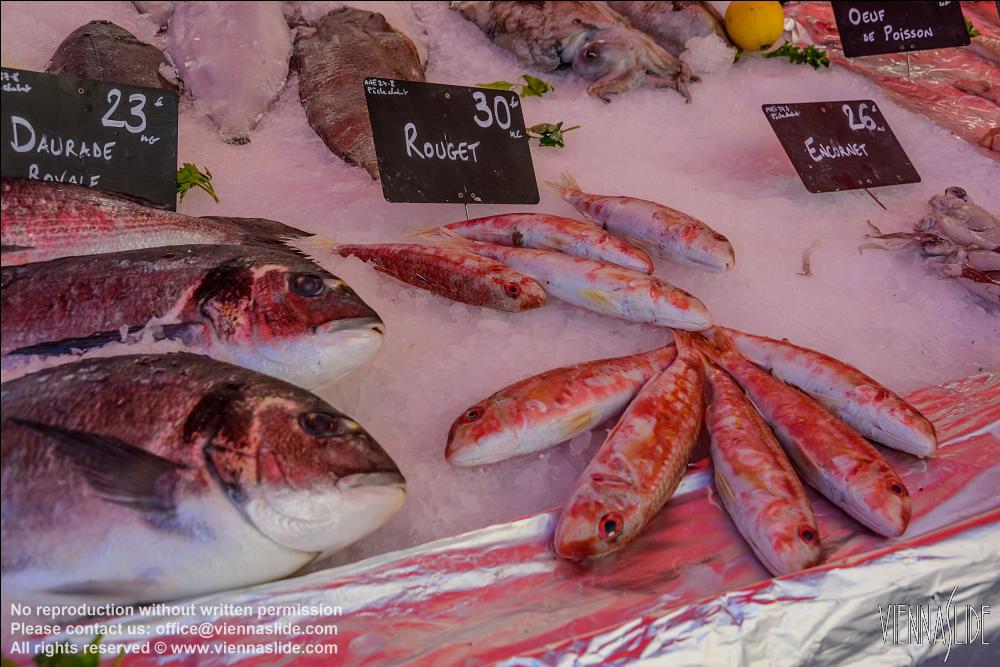 Viennaslide 05284034 jpg