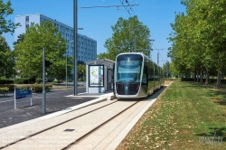 Viennaslide-05215946 Die Straßenbahn Caen (frz. Tramway de Caen) ist das Straßenbahnsystem der französischen Stadt Caen. Die Inbetriebnahme der ersten Linien erfolgte am 27. Juli 2019. Alle Linien nutzen in der Innenstadt von Caen einen gemeinsamen Streckenabschnitt.