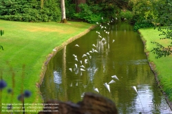 Viennaslide-05221304 Nantes, Jardin des Plantes