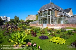 Viennaslide-05221315 Nantes, Jardin des Plantes, historisches Gewächshaus