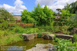 Viennaslide-05221382 Japanischer Garten auf der Isle de Versailles in Nantes, Nantes, Isle de Versailles, Jardin Japonais - Nantes, Versailles Island, Japanese Garden