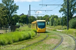 Viennaslide-05244807 Mulhouse, Tramway