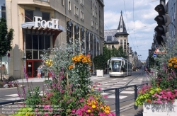 Viennaslide-05245903 Der Oberleitungsbus Nancy, heute meist Tramway de Nancy genannt, ist ein seit 1982 bestehender Oberleitungsbus-Betrieb in der französischen Stadt Nancy und den drei Nachbargemeinden Essey-lès-Nancy, Saint-Max und Vandœuvre-lès-Nancy. Das System wurde 2001 auf abschnittsweise spurgeführten Betrieb umgestellt, weshalb es heute als Tramway sur pneumatiques bezeichnet wird. Hierbei handelt es sich um die im Französischen übliche Bezeichnung für eine Straßenbahn auf Luftreifen, die mittels einer mittig in der Fahrbahn versenkten Leitschiene in der Spur gehalten wird. Zuständiges Verkehrsunternehmen ist die Gesellschaft Service de transport de l’agglomération nancéienne (STAN), sie betreibt im Großraum Nancy zusätzlich diverse Omnibuslinien.