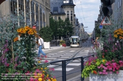 Viennaslide-05245913 Der Oberleitungsbus Nancy, heute meist Tramway de Nancy genannt, ist ein seit 1982 bestehender Oberleitungsbus-Betrieb in der französischen Stadt Nancy und den drei Nachbargemeinden Essey-lès-Nancy, Saint-Max und Vandœuvre-lès-Nancy. Das System wurde 2001 auf abschnittsweise spurgeführten Betrieb umgestellt, weshalb es heute als Tramway sur pneumatiques bezeichnet wird. Hierbei handelt es sich um die im Französischen übliche Bezeichnung für eine Straßenbahn auf Luftreifen, die mittels einer mittig in der Fahrbahn versenkten Leitschiene in der Spur gehalten wird. Zuständiges Verkehrsunternehmen ist die Gesellschaft Service de transport de l’agglomération nancéienne (STAN), sie betreibt im Großraum Nancy zusätzlich diverse Omnibuslinien.