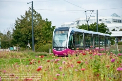 Viennaslide-05254969 Dijon, Tramway