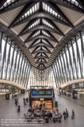 Viennaslide-05273966 Der Bahnhof Lyon Saint-Exupéry TGV (franz.: Gare de Saint-Exupéry TGV) ist ein Fernverkehrsbahnhof am Flughafen Lyon Saint-Exupéry, etwa 20 Kilometer östlich des Zentrums von Lyon in Frankreich. Architekt des TGV-Bahnhofs Lyon-Saint-Exupéry ist der Spanier Santiago Calatrava, der sich 1987 in einem international ausgeschriebenen Architekturwettbewerb knapp gegen Richard Rogers behaupten konnte. Das Bahnhofsgebäude besteht aus einer 450 Meter langen und 56 Meter breiten Halle aus Stahl, Glaselementen und Stahlbeton mit Verbindungsgängen zum Flughafen Lyon Saint-Exupéry. Zentrales bauliches Element des Bahnhofs ist der rund 39 Meter hohe Hauptpavillon, dessen skelettartige Form oft mit einem riesigen Vogel verglichen wird.