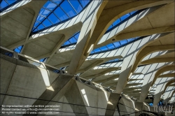 Viennaslide-05273980 Lyon, Flughafen Saint-Exupery, Flughafenbahnhof Satolas von Architekt Santiago Calatrava, Rhone Alpes, Frankreich // Lyon, Airport Lyon Saint-Exupery, Airport TGV Station Satolas by Architect Santiago Calatrava, Rhone Alpes, Frankreich