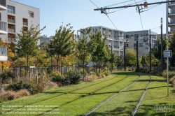 Viennaslide-05274405 Lyon, begrünte Straßenbahntrasse in einem Neubaugebiet