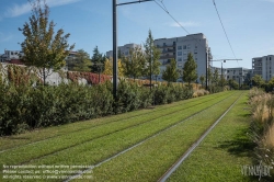 Viennaslide-05274406 Lyon, Tramway T4 Rue de l'Epargne