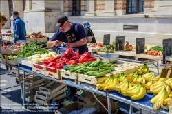 Viennaslide-05284041 Nizza, Markt am alten Südbahnhof // Nice, Market around the old South Train Station