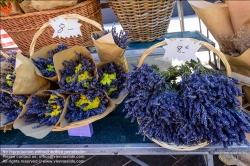 Viennaslide-05284215 Nizza, Altstadt, Vieux Ville, Cours Saleya, Blumenmarkt, Lavendel // Nice, Historic Center, Vieux Ville, Cours Saleya, Flower Market, Lavender
