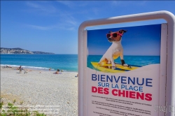 Viennaslide-05284324 Nizza, Hundestrand // Nice, Dog Beach