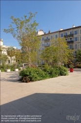 Viennaslide-05285813 Nizza, Begrünung // Nice, Plantations in Public Space