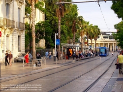 Viennaslide-05291024 Montpellier, moderne Tramway, Linie 1, Gare St Roch