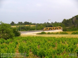 Viennaslide-05292040 Montpellier, moderne Tramway, Linie 2, Jacou