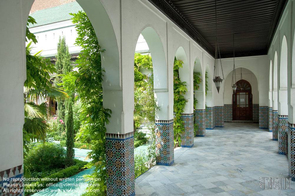 Viennaslide 05305209 jpg