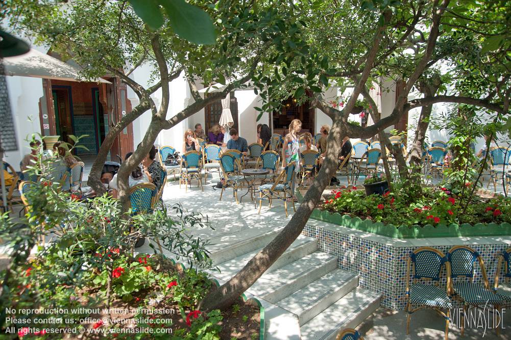 Viennaslide 05305214 jpg