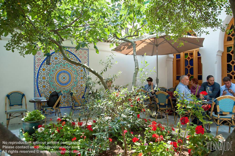 Viennaslide 05305216 jpg