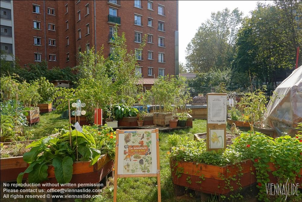 Viennaslide 05320017 jpg