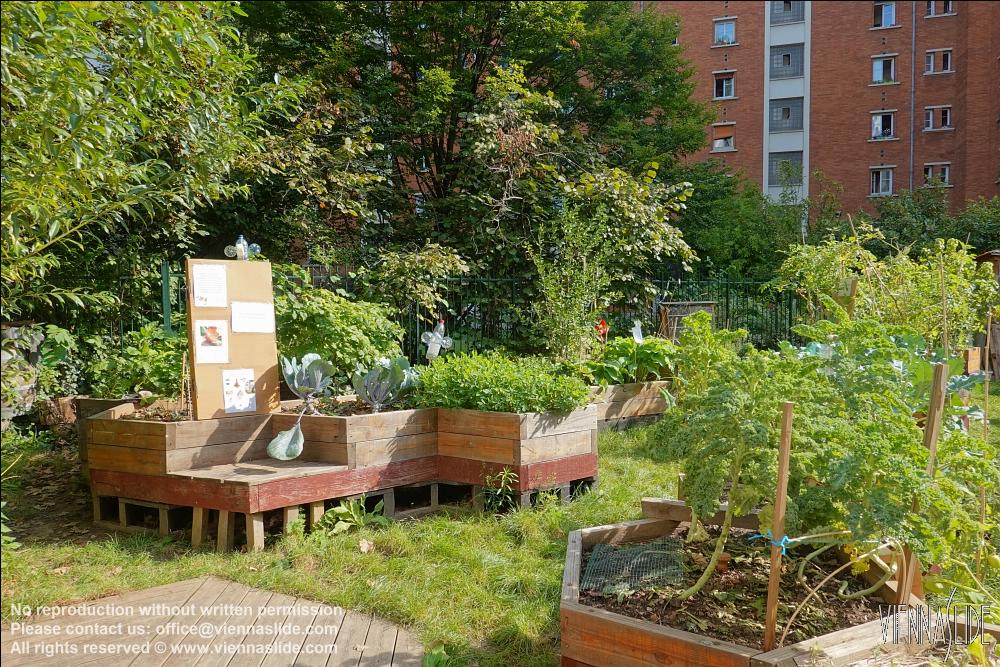 Viennaslide 05320018 jpg