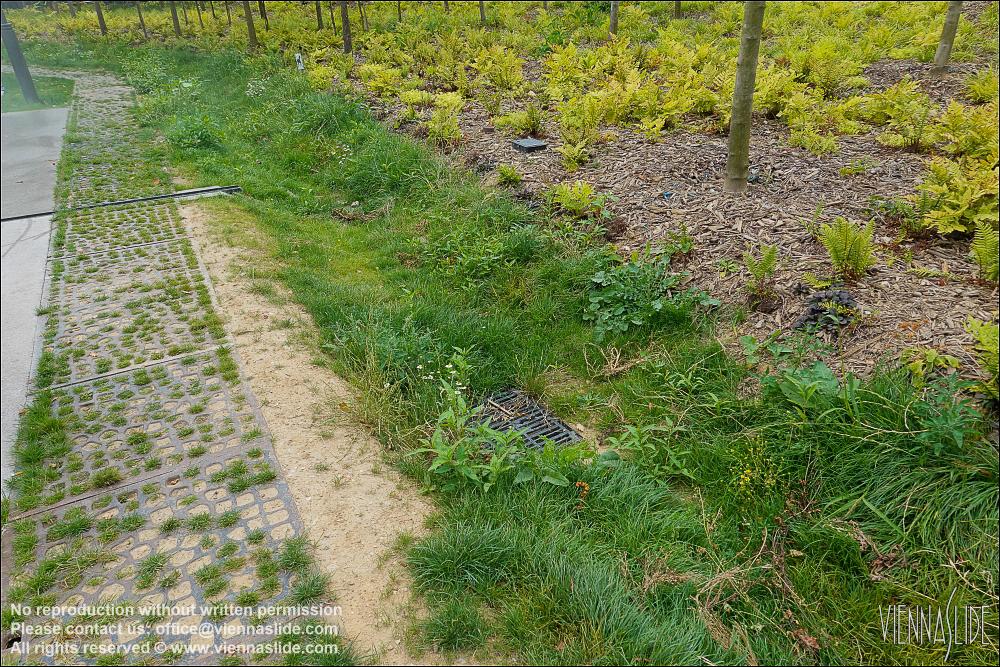 Viennaslide 05364085 jpg