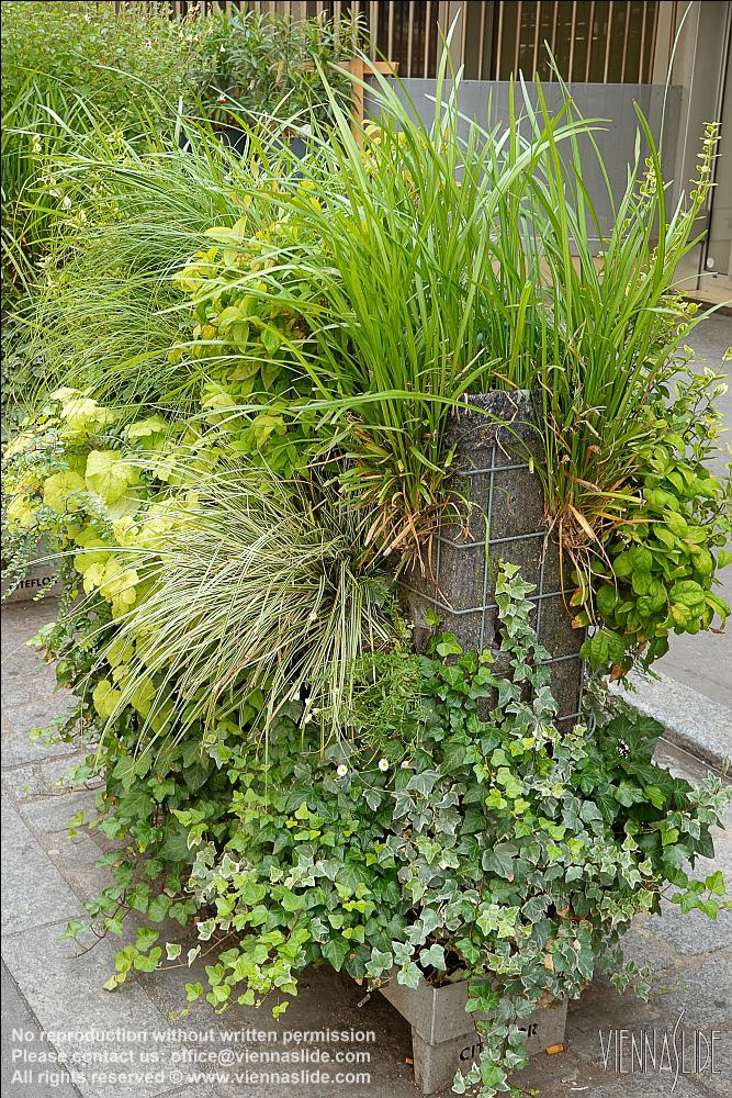 Viennaslide 05380103 jpg