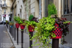 Viennaslide-05300180 Paris, private Blumentöpfe auf Verkehrspollern