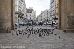 Viennaslide-05300200 Paris, Tauben // Paris, Pigeons