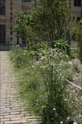 Viennaslide-05302509 Paris, Bibliotheque national de France (Französische Nationalbibliothek), Jardin Vivienne // Paris, Bibliotheque national de France (French National Library), Vivienne Garden