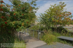 Viennaslide-05307183 Paris, an der Seine, Jardin d'Archipel, schwimmende Gärten // Paris, River Seine, Jardin d'Archipel, Floating Gardens