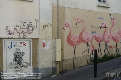 Viennaslide-05308137 Paris Street Art
