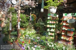 Viennaslide-05310026 Paris, Ile de la Cite, Blumenmarkt - Paris, Ile de la Cite, Flower Market