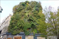 Viennaslide-05312024 Paris, Rue Aboukir, Wandbegrünung // Paris, Rue Aboukir, Green Facade