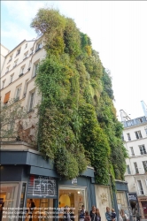 Viennaslide-05312025 Paris, Rue Aboukir, Wandbegrünung // Paris, Rue Aboukir, Green Facade